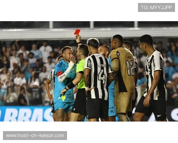 巴西排球内马尔托强力扣球，大比分取胜